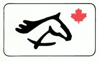 CEF Logo