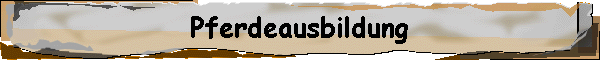 Pferdeausbildung