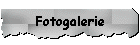 Fotogalerie