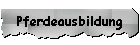 Pferdeausbildung