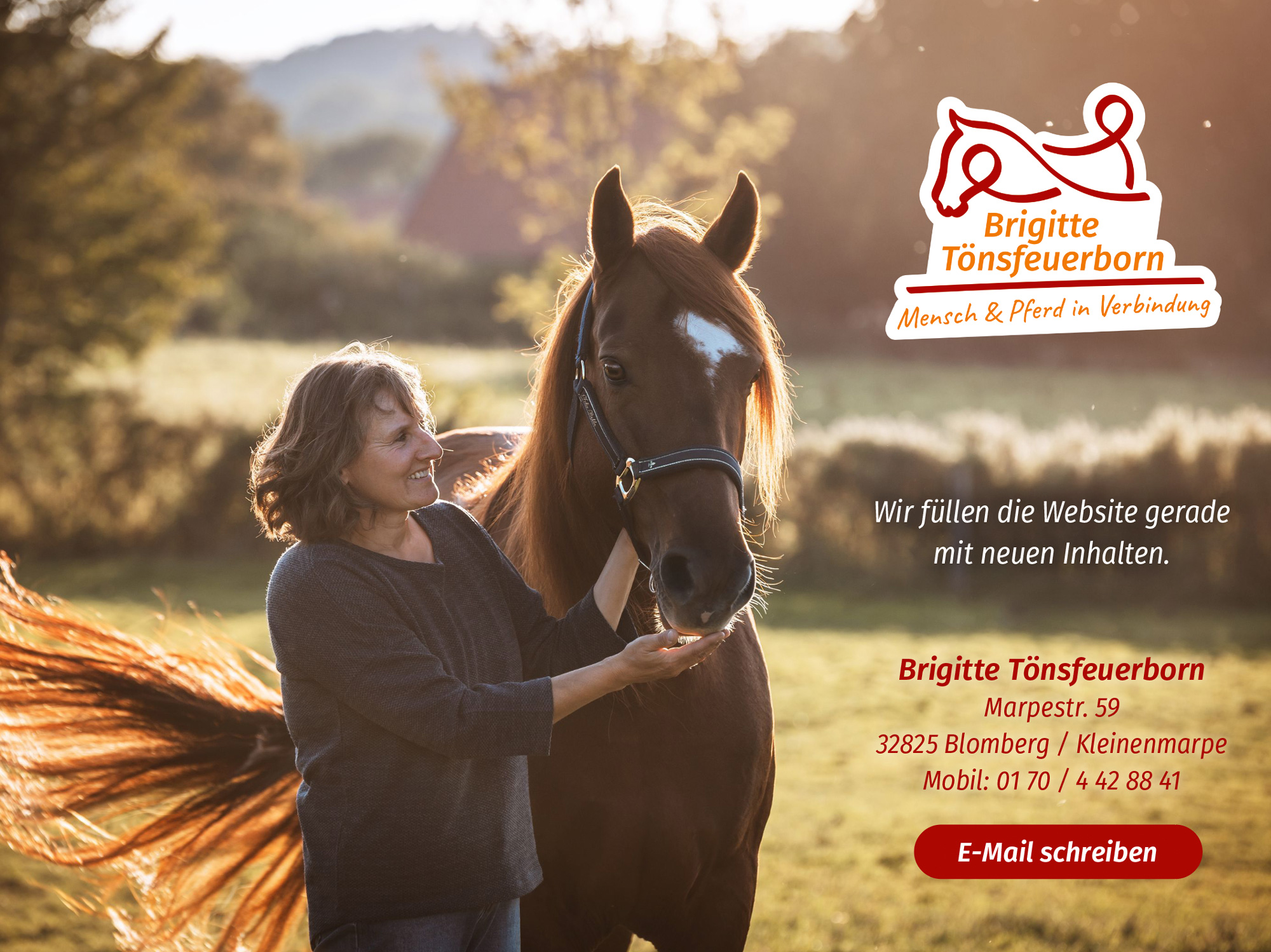 Hier entsteht die neue Website von Brigitte Tönsfeuerborn | Mensch & Pferd in Verbindung. Telefonnummer 0170 / 4428841