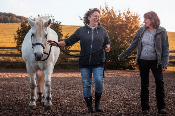 brigitte_toensfeuerborn_potentialentwicklung2