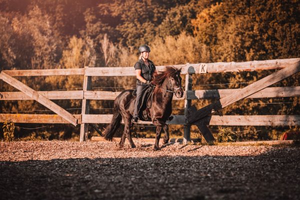 brigitte_toensfeuerborn_reitunterricht4